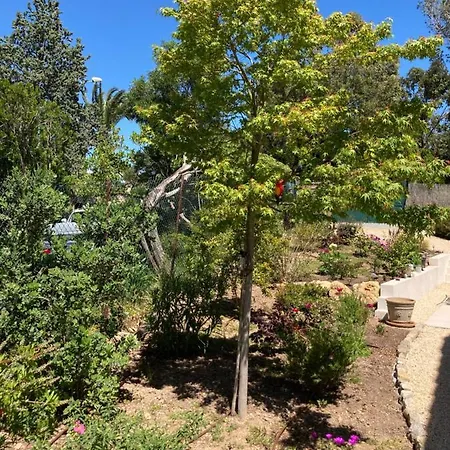 Gæstehus Du Belvedere - Jardin