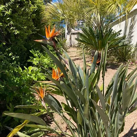 Du Belvedere - Jardin *