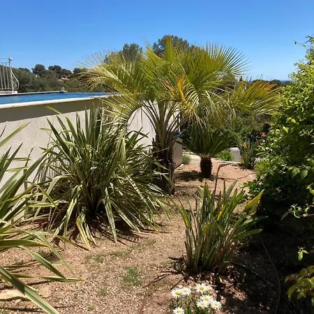 Du Belvedere - Jardin *