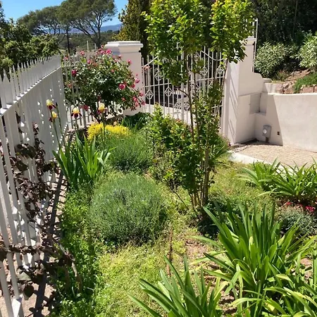 Du Belvedere - Jardin
