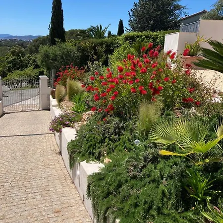 Konukevi Du Belvedere - Jardin