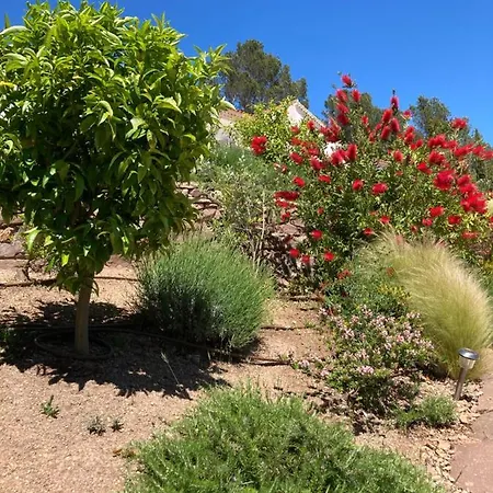 Du Belvedere - Jardin Konukevi