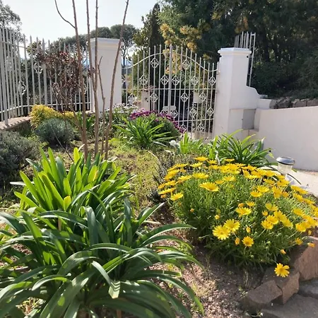 Du Belvedere - Jardin
